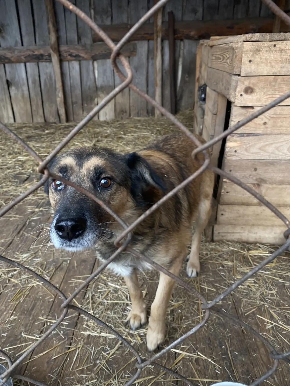 ТЕПЛО НАШИХ СЕРДЕЦ