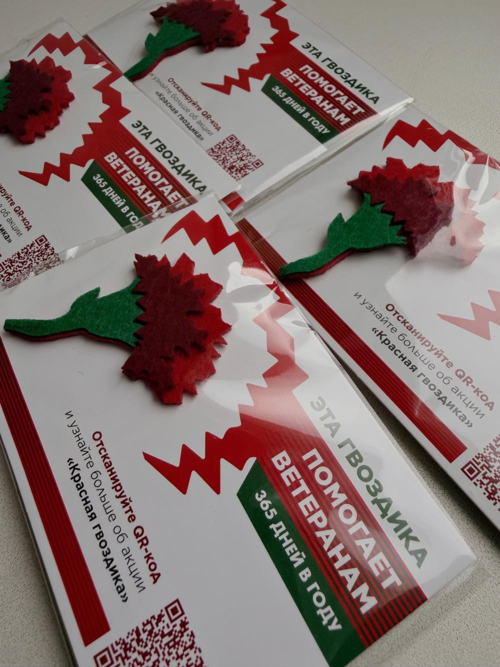 Всероссийская акция «Красная гвоздика»